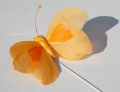 Veren vlinder licht oranje met oranje 206561