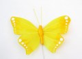 Veren vlinder maximus geel