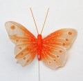 Veren vlinder oranje tinten
