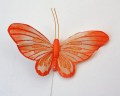 Veren vlinder oranje tint