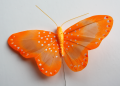 Veren vlinder oranje 206391
