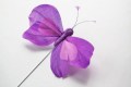 Veren vlinder paars met roze