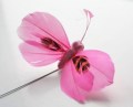Veren vlinder roze 10635