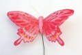 Veren vlinder roze 9,5 met vleugelstaart