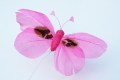 Veren vlinder roze 206573