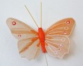 Veren vlinder zacht oranje