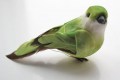 Veren vogel l groen