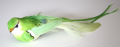 Veren vogel 206413 groen