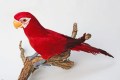 Veren vogel Papegaai Rood