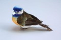 Veren vogel blauw oranje en groen