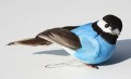 Veren vogel donker blauw 206545