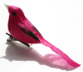 Veren vogel kanarie knal roze 206406