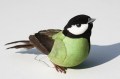 Veren vogel mos groen 206544