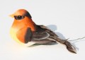Veren vogel oranje 1 205649