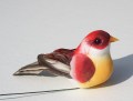 Veren vogel rood licht 205652