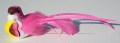 Veren vogel roze lange staart 206539