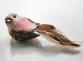 veren vogel met korte staart roze