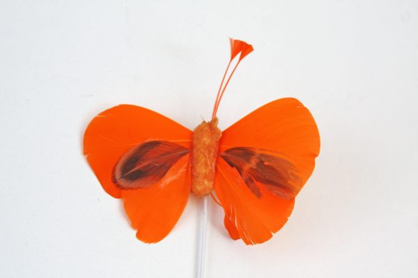 veren vlinder oranje 6 cm